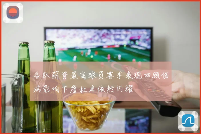 各队薪资最高球员赛季表现回顾伤病影响下詹杜库依然闪耀