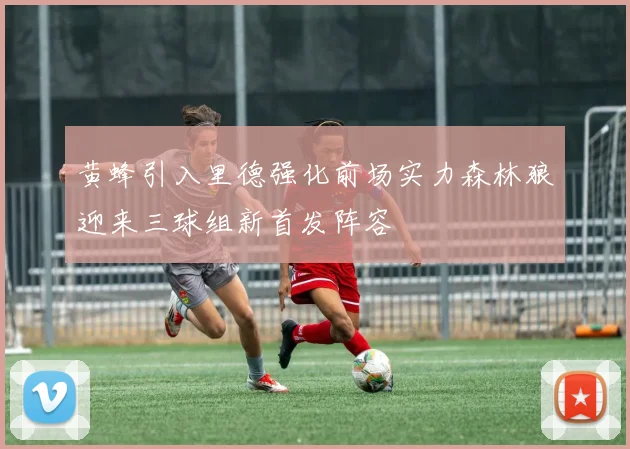 黄蜂引入里德强化前场实力森林狼迎来三球组新首发阵容