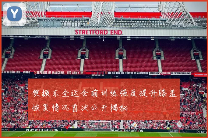 樊振东全运会前训练强度提升膝盖恢复情况首次公开揭秘